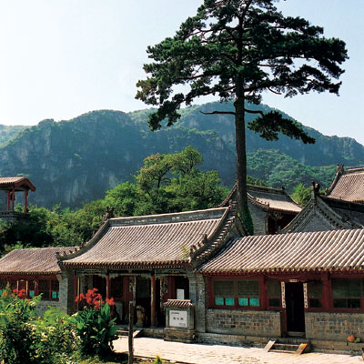 ���c�{�L(f��ng)���D