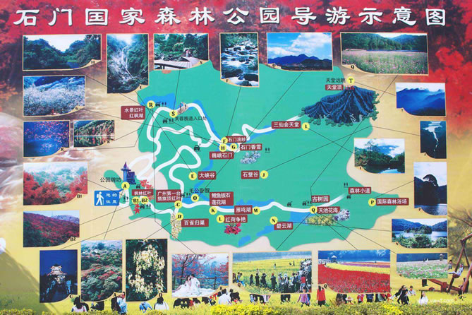 ʯ�T����ɭ�ֹ��@��(d��o)�ΈD