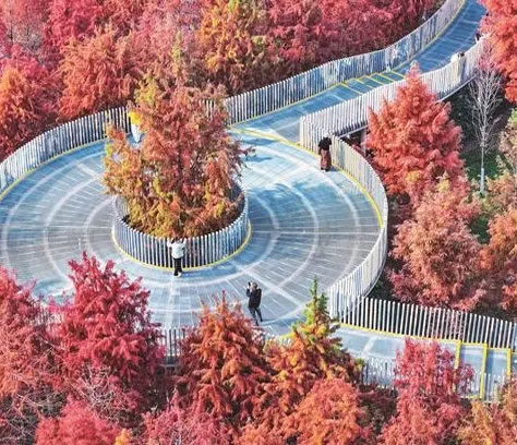 ��h�tɼ�M(j��n)������^(gu��n)�p��